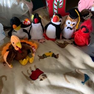ty beanie babies bird lot